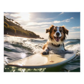 Hund auf Surfbrett Fotodruck (Vorne)