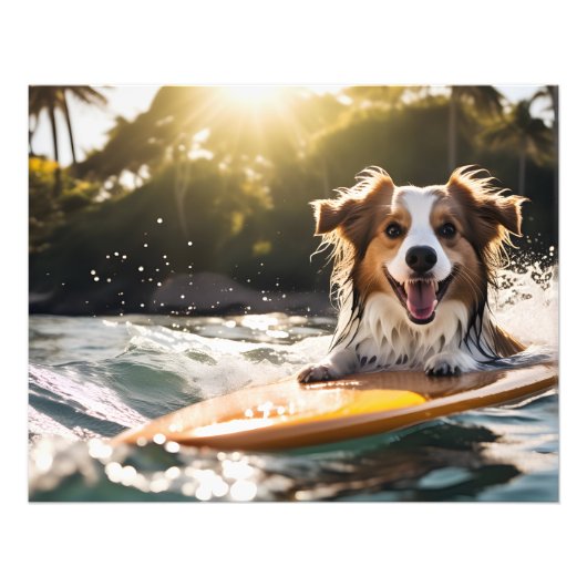 Hund auf Surfbrett Fotodruck (Vorne)