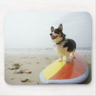 Hund auf Surfbrett Mousepad