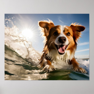 Hund auf Surfbrett Poster