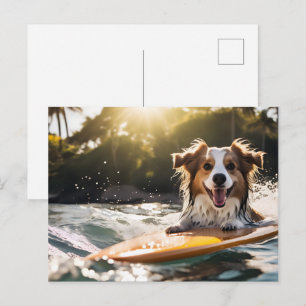 Hund auf Surfbrett Postkarte