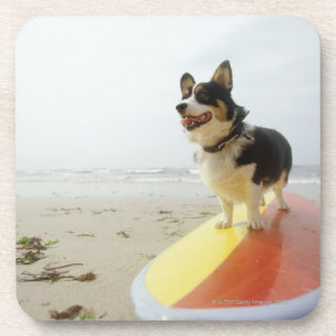 Hund auf Surfbrett Untersetzer