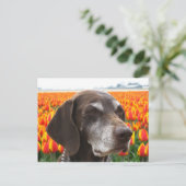 Hund auf Tulpenfeld Postkarte (Stehend Vorderseite)