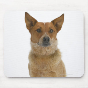Hund auf Weiß 01 Mousepad