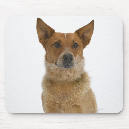 Hund auf Weiß 01 Mousepad (Vorne)