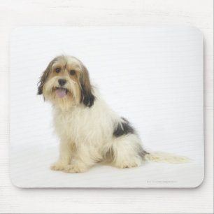 Hund auf Weiß 104 Mousepad