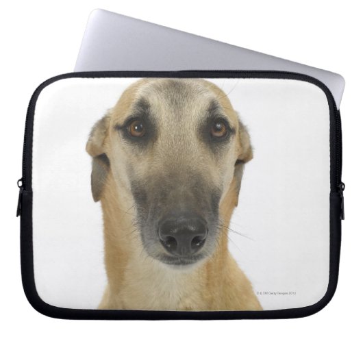 Hund auf Weiß 41 Laptopschutzhülle (Vorderseite)