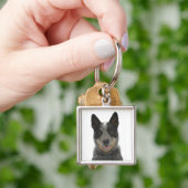 Hund auf Weiß 5 Schlüsselanhänger (Hand)