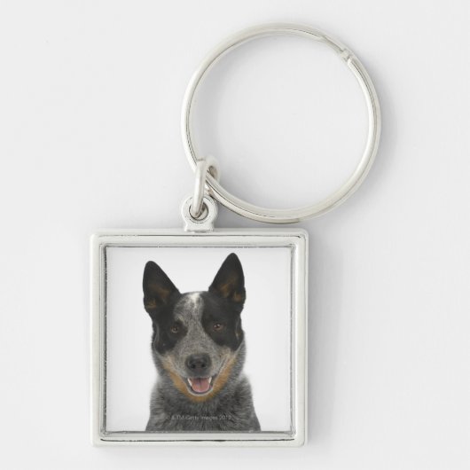 Hund auf Weiß 5 Schlüsselanhänger (Vorne)