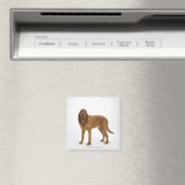 Hund auf Weiß 97 Magnet (In Situ (Geschirrspüler))