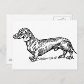 Hund aus der Dackel Schwarz-Weiß-Dackel Postkarte (Vorne/Hinten)