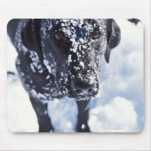 Hund bedeckt im Schnee Mousepad