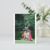 Hund beim Fitnesstining Postkarte (Stehend Vorderseite)