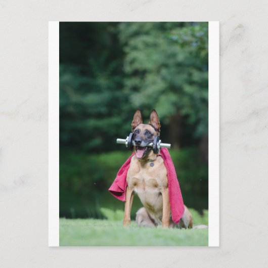 Hund beim Fitnesstining Postkarte (Vorderseite)