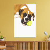 Hund beißen Tennisball Leinwanddruck (Insitu (Wohnzimmer))