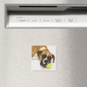 Hund beißen Tennisball Magnet (In Situ (Geschirrspüler))