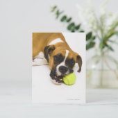 Hund beißen Tennisball Postkarte (Stehend Vorderseite)