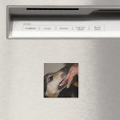 Hund beißend Finger Magnet (In Situ (Geschirrspüler))