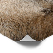 Hund beißend Finger Poster (Ecke)