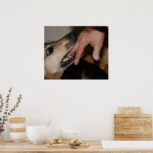 Hund beißend Finger Poster (Küche)