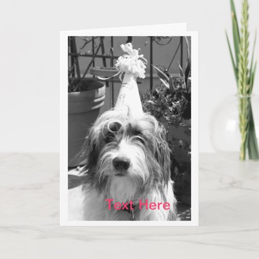 Hund bereit zum Party Karte (Vorderseite)