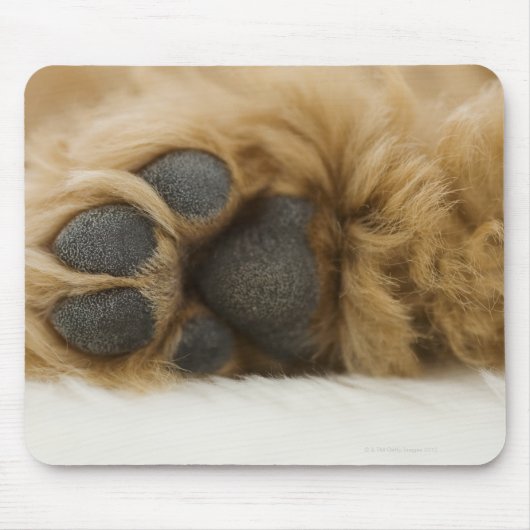 Hund, Blick auf das Bein Mousepad (Vorne)
