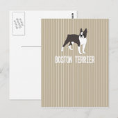 Hund Boston Terrier Postkarte (Vorne/Hinten)