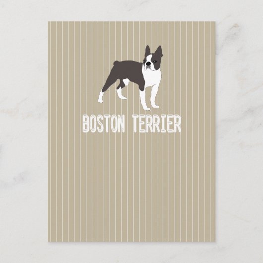 Hund Boston Terrier Postkarte (Vorderseite)