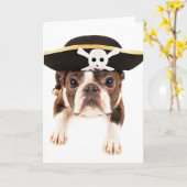 Hund Bostons Terrier gekleidet als Pirat Karte (Gelbe Blume)
