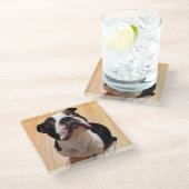 Hund Bostons Terrier Glasuntersetzer (Schrägansicht)
