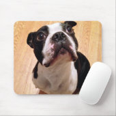 Hund Bostons Terrier Mousepad (Mit Mouse)