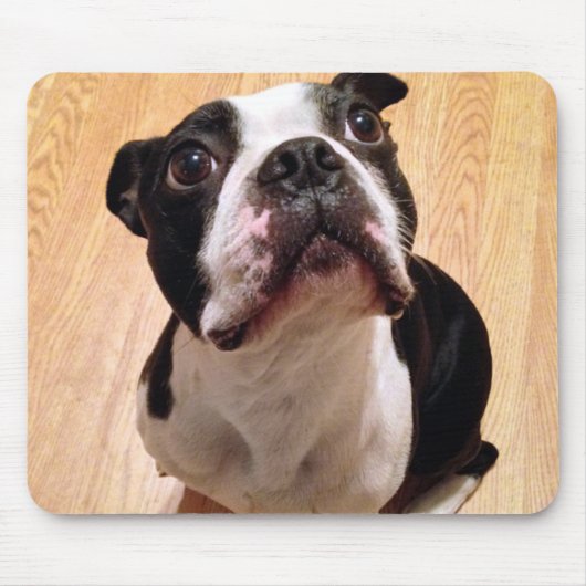 Hund Bostons Terrier Mousepad (Vorne)