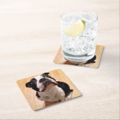 Hund Bostons Terrier Rechteckiger Pappuntersetzer (Vor Ort)