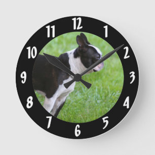 Hund Bostons Terrier Runde Wanduhr