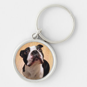 Hund Bostons Terrier Schlüsselanhänger