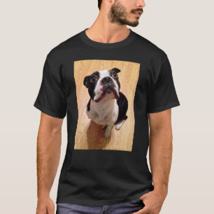 Hund Bostons Terrier T-Shirt