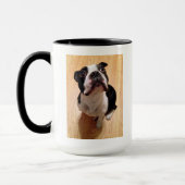 Hund Bostons Terrier Tasse (Links)