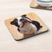 Hund Bostons Terrier Untersetzer (Linke Seite)