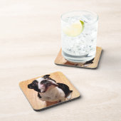Hund Bostons Terrier Untersetzer (Rechte Seite)