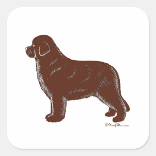 Hund Browns Neufundland Quadratischer Aufkleber
