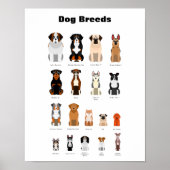 Hund brütet Poster. Poster (Vorne)