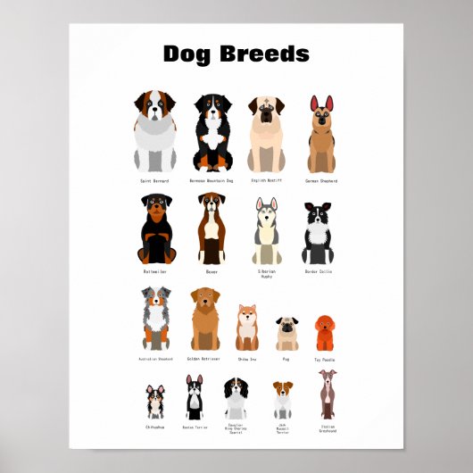 Hund brütet Poster. Poster (Vorne)
