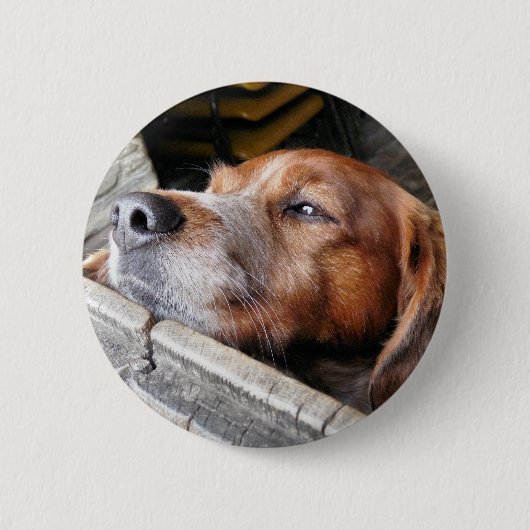 HUND BUTTON (Vorderseite)