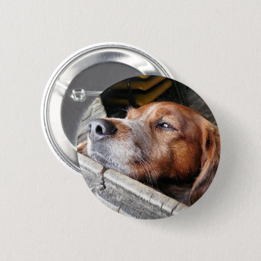 HUND BUTTON (Vorne & Hinten)
