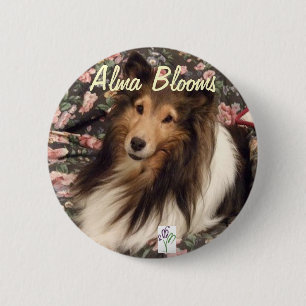 Hund Button