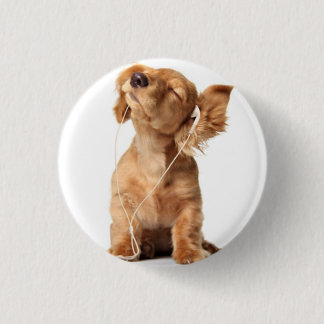 Hund Button