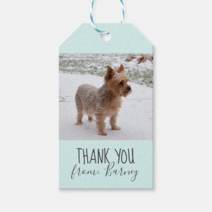Hund danke Ihnen, Foto Tags zu schenken Geschenkanhänger
