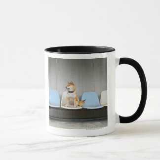 Hund, der auf Bank sitzt Tasse