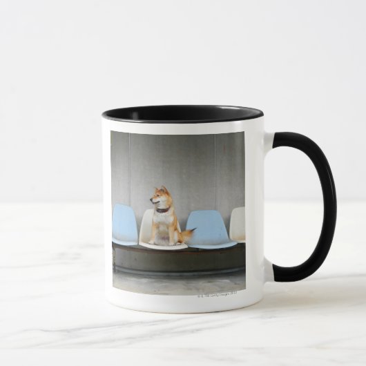 Hund, der auf Bank sitzt Tasse (Rechts)