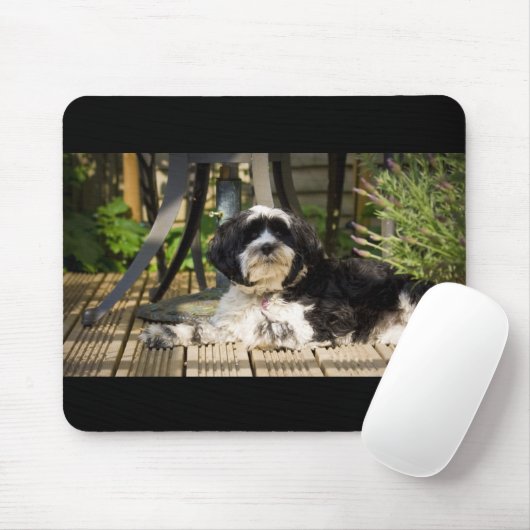 Hund, der auf Decking in der Sonne legt Mousepad (Mit Mouse)